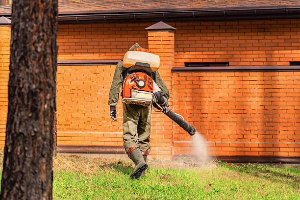 Trusted Ant Control service in McMurray, PA - Nex Pest Control